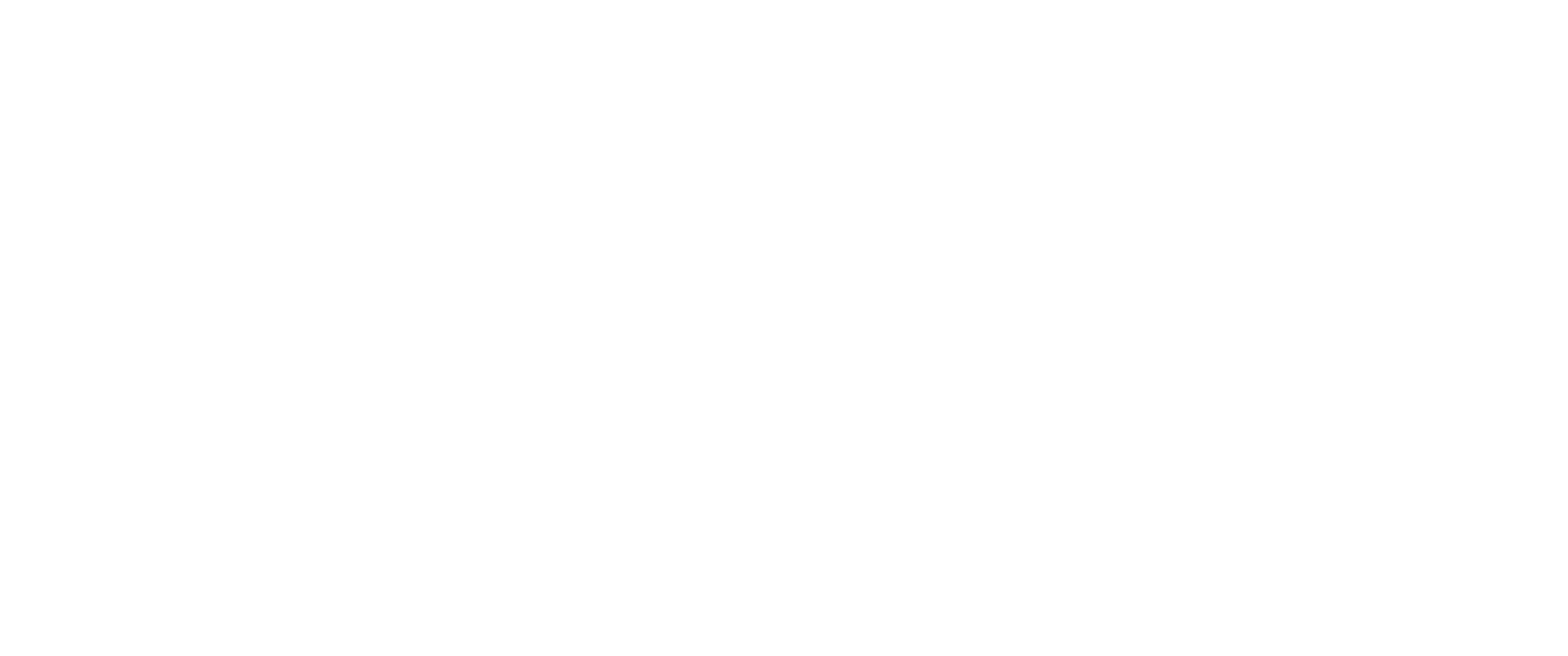 StylesbyKels_Logo_Full_White